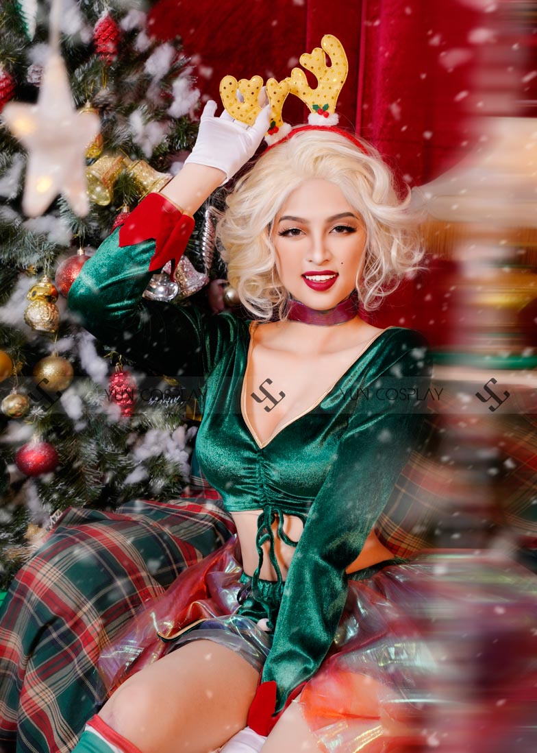 ban-va-cho-thue-vay-noel-ha-noi-24