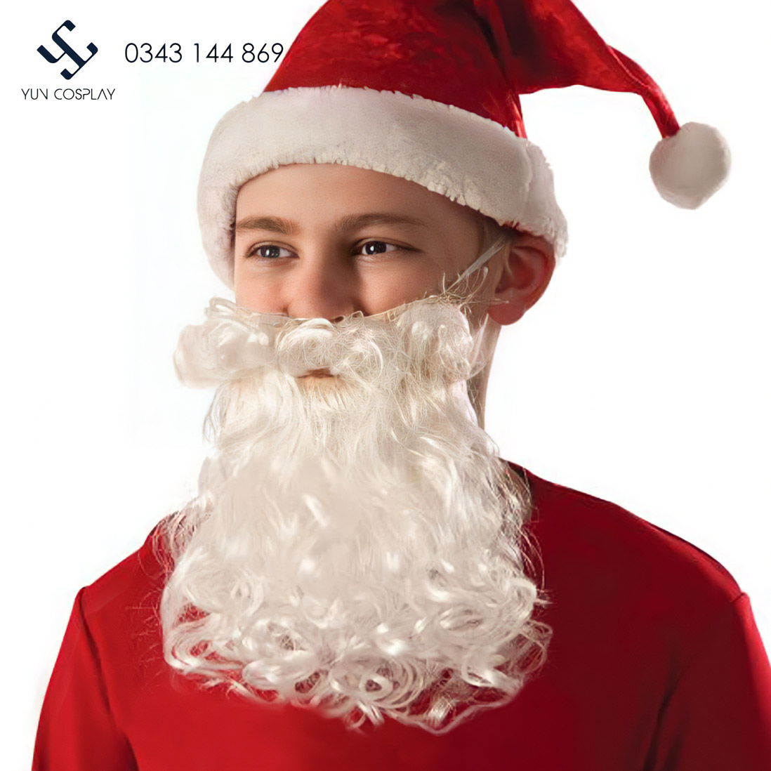 Trang phục và phụ kiện Noel ấn tượng nhất 18 rau-ong-gia-noel-1